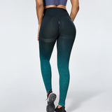 Legging minceur gainant vert foncé dégradé