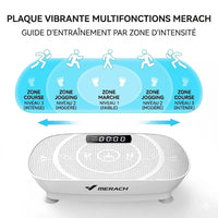 Plateforme Vibrante