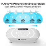 Plateforme Vibrante